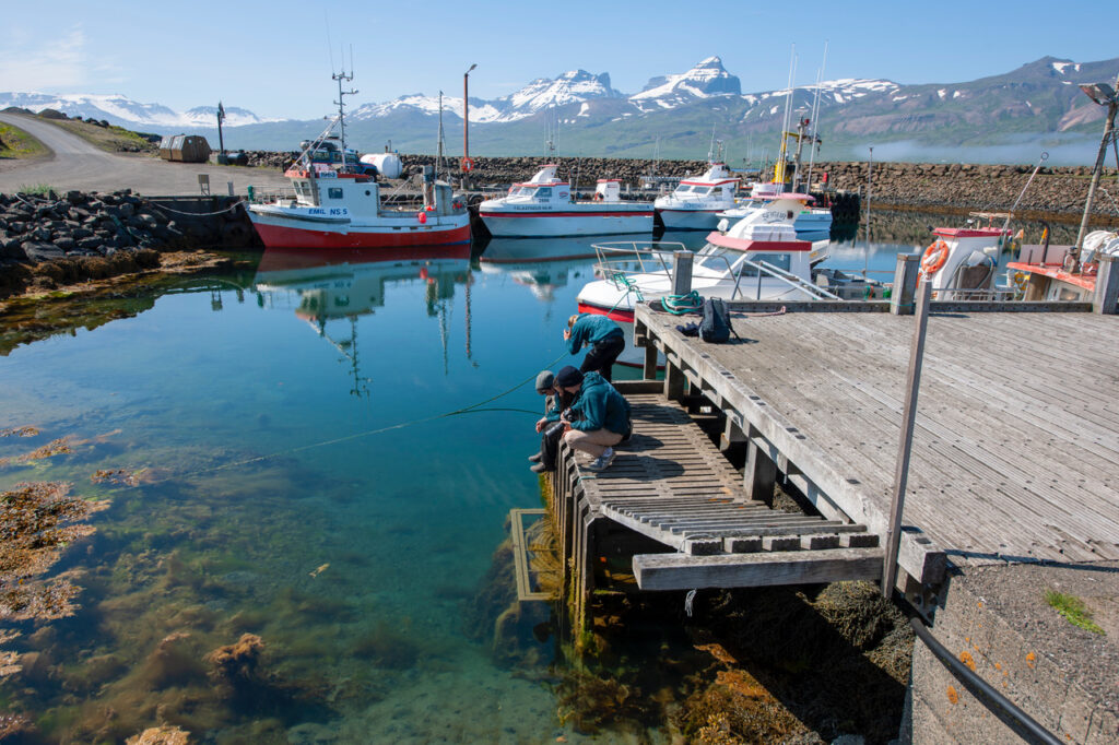 Fríorka Varmadælur