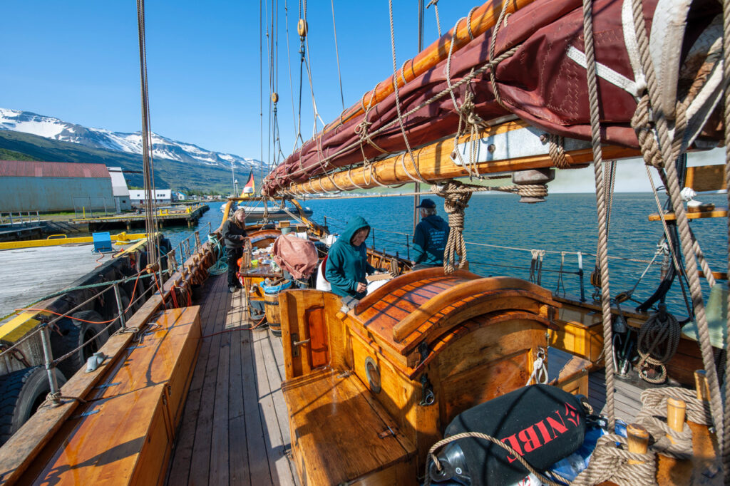 Fríorka Varmadælur